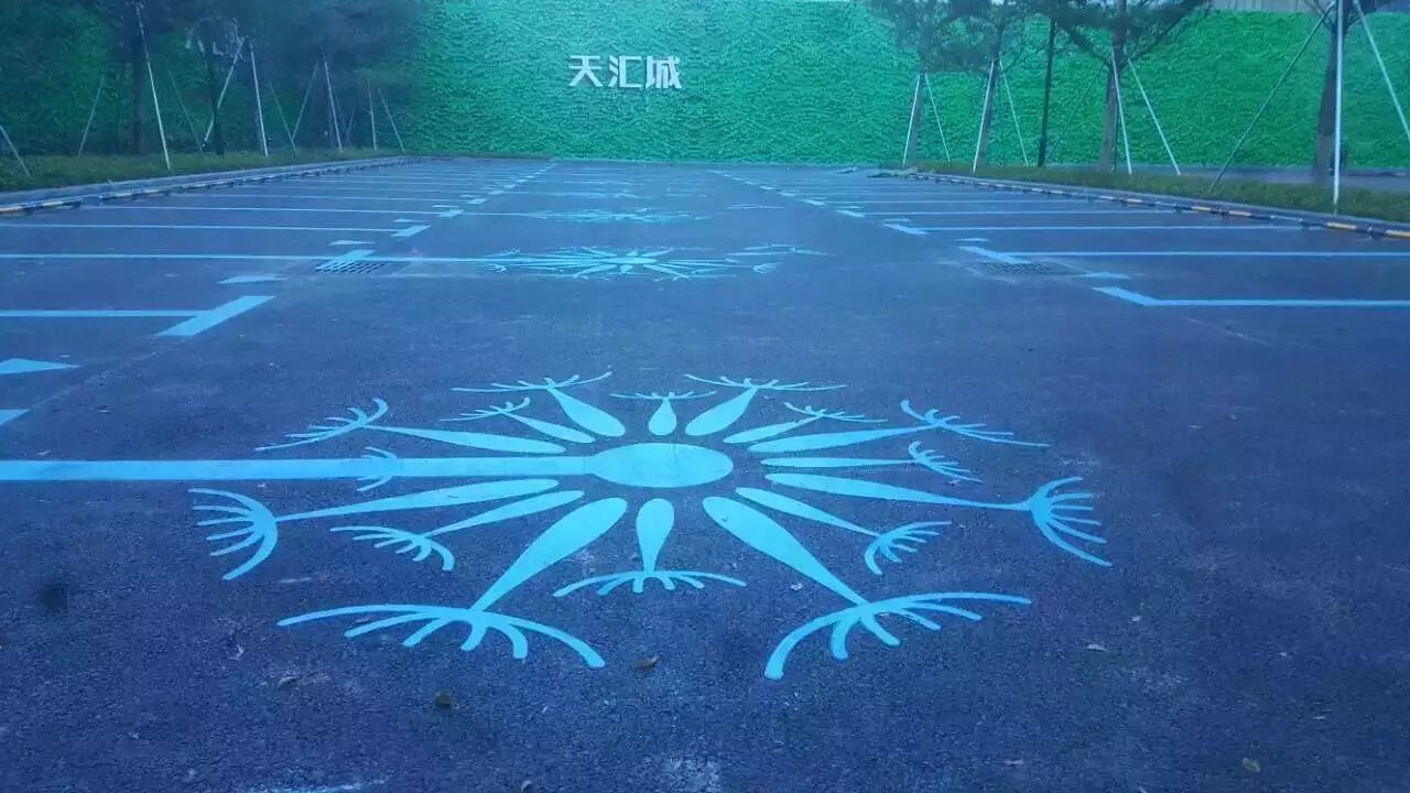 停車場(chǎng)道路交通設(shè)施規(guī)劃劃線特色標(biāo)線（彩色）